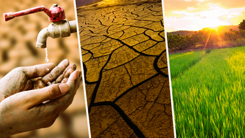 Carbon Farming Intensive