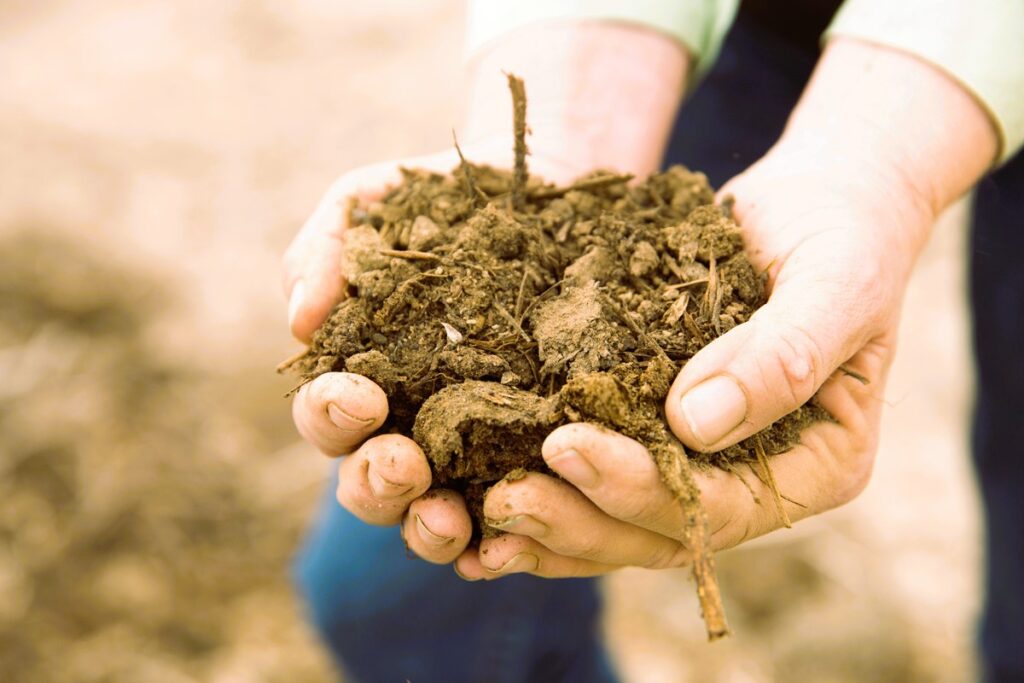Carbon Farmers Meet-Up