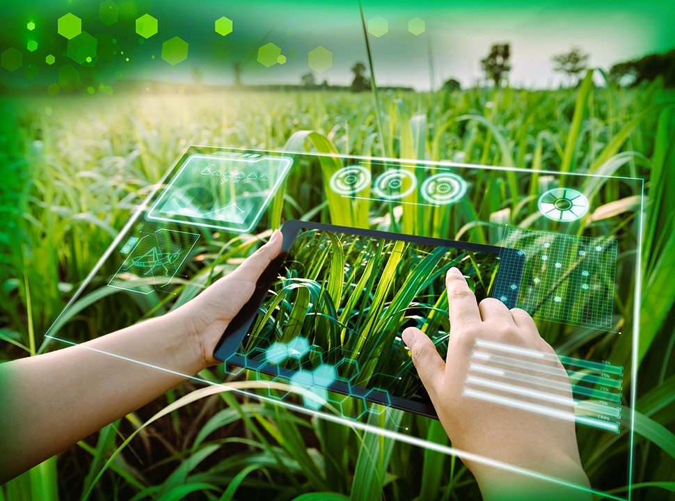 Virtual Farming