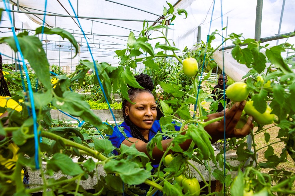Farming Course