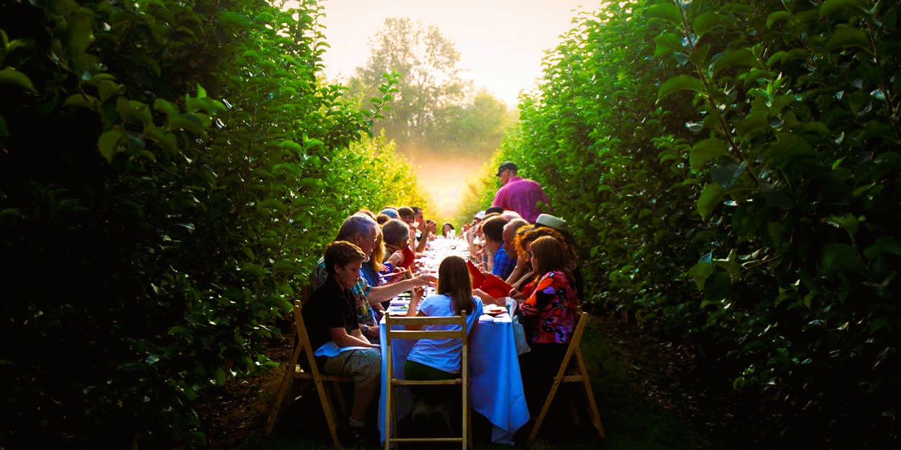 Farm-to-Table