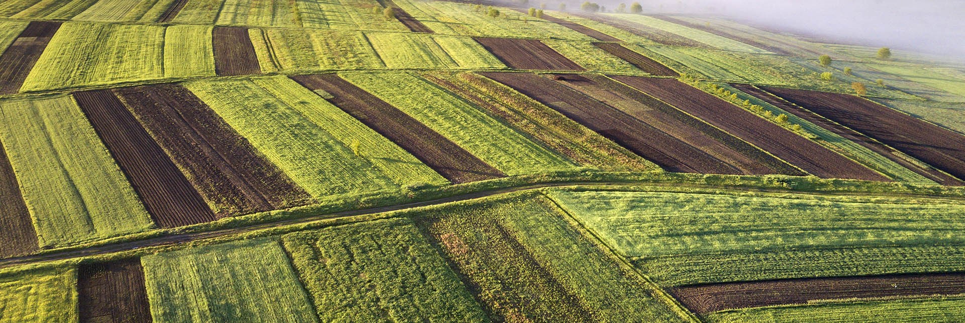 Carbon Farming Course