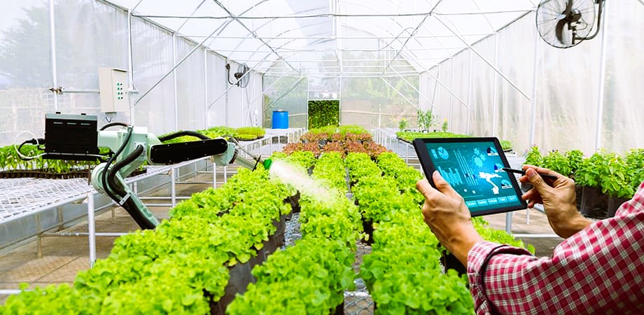 smart farming agriculture